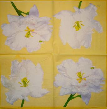 029 Rosen - 3-lagig (blau)